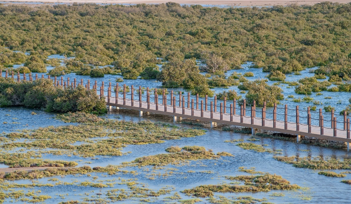 Qatar Biodiversity database platform to be established in 2024